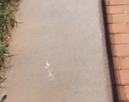 冷柔户外调
