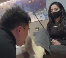 【不知名美女】暴力耳光300下惩罚迟到狗 bf9724