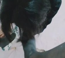 【小沫】首调骚小三母狗 bf8718