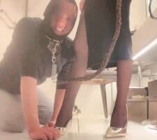【祖宗娜】黑丝高跟诱惑调狗 bf23677