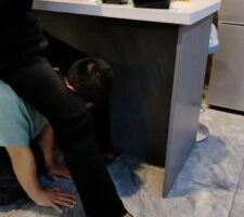 【辣妈】伺候主人吃饭/跪求赏赐狗食 bf25824