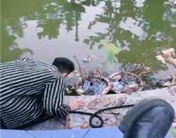 【宸宸】狗奴才清理庄园池塘 bf34426