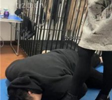 【冰色】全体重踩踏专场 bf36876
