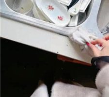 【沅芷大人】吊绑树上鞭子狂抽 JS231231-6