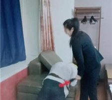 【依然】刑具重度sp专场 JS240116-7