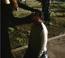【千岁大人】双S-户外携素人公开处刑老狗 bf40337