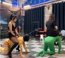 【红焱】刑房虐父子狗-吊绑虐打-骑马-囚禁狗笼 bf41134