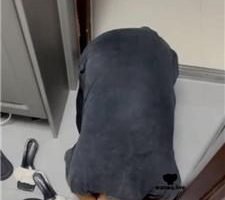 【偏不】揪耳朵/喂口水浓痰/舔脏鞋底 bf42400