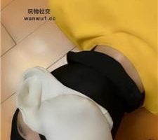 【魔鬼天使】骑马鞭打驯化/关狗笼/赏赐圣水/强制闻白袜 bf44136