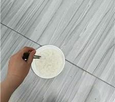 【格桑】双S-脚下喂食专场 JS241001-5