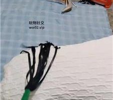 【阿霞】黑丝脚踩踏鞭打 JS241103-15