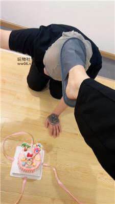 【紫琳】踩踏蛋糕喂食-给狗过不一样的生日 JS241126-12