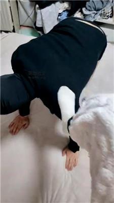 【小羊咩咩】白棉袜脚踩踏踢踹 JS241227-39