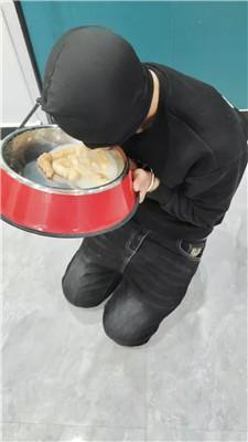 【宝宝大人s】刑架枷锁囚禁-重度鞭打-狗盆喂食 JS250109-13