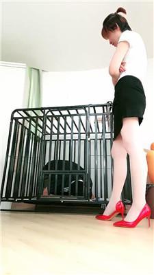 【缘彼大大】圈养狗笼犬化-酸臭肉丝舔 JS250706-42