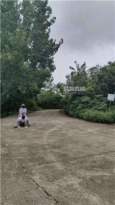 【忆人离】边爬山运动边虐狗 bf56111