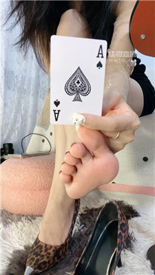 【苒苒】扑克游戏    250803-18