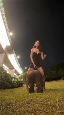 【羽薇】户外公开处刑跟踪狂 bf56239