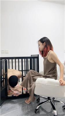 【阿楠】狗笼圈养人形犬 bf56884