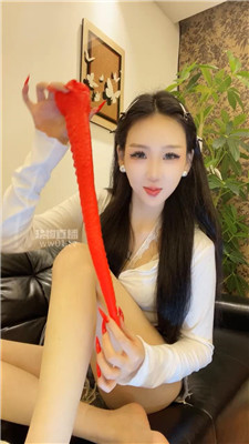 【知妤】老师灯    250929-27