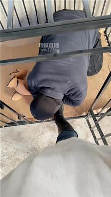 【77夫妻】参观人形犬舍 JS260106-3
