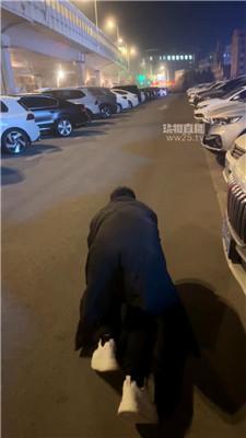 【心伊】户外遛狗车内调 bf61549