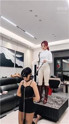 【贺贺】女神和母畜的区别   bf62176